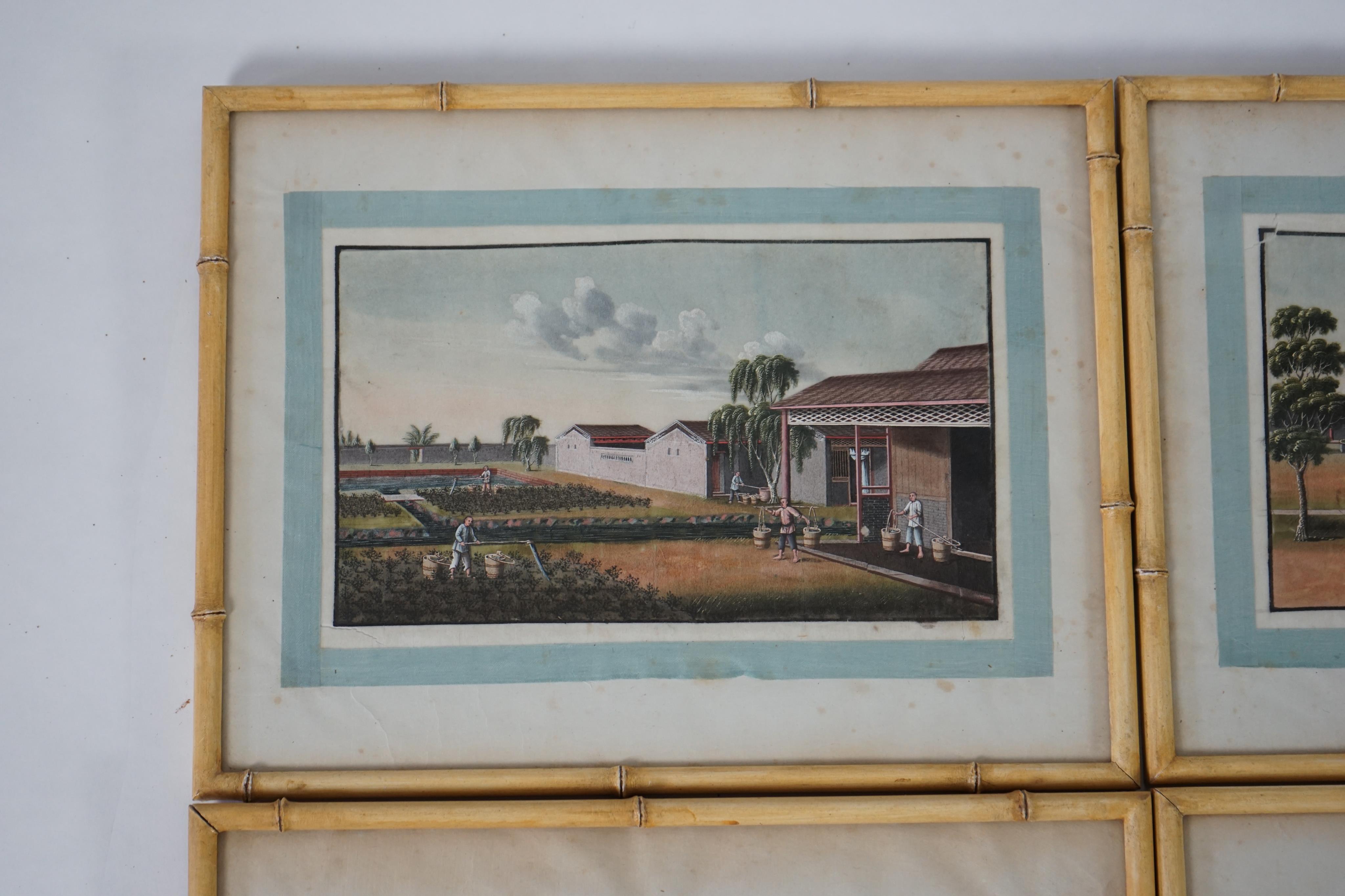 A set of twelve Chinese gouache paintings on pith paper of tea production, circle of Tingqua c.1840